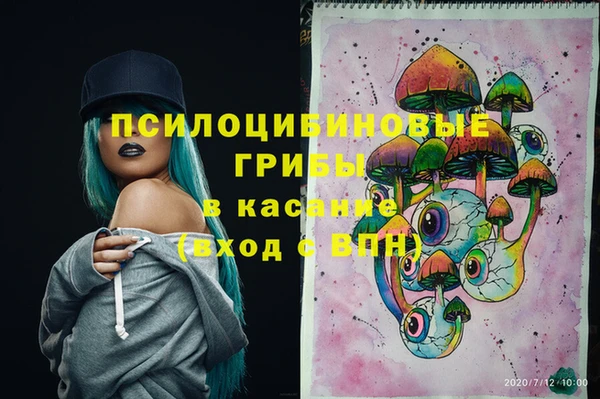 твердый Новозыбков