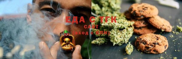стаф Новокубанск