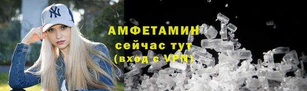 стаф Новокубанск