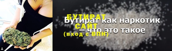 твердый Новозыбков