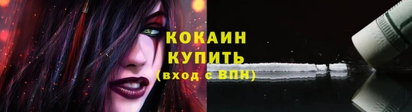 твердый Новозыбков
