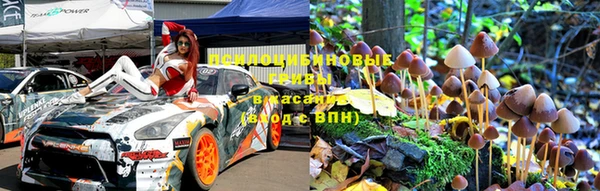 твердый Новозыбков