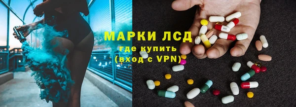 стаф Новокубанск