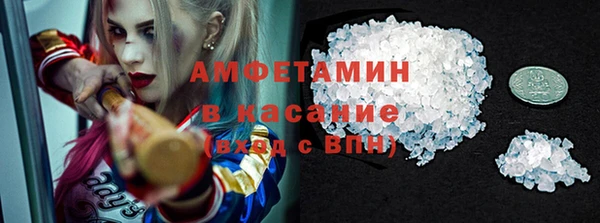 твердый Новозыбков